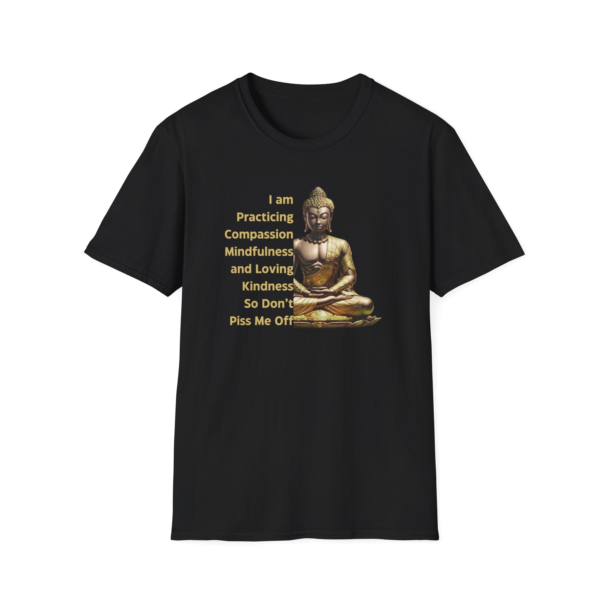 Printify T-Shirt Black / S Practicing Compassion T-Shirt Practicing Compassion T-Shirt 34592301387473476640
